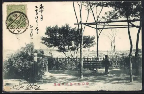 AK Tokyo, Parkanlage mit Aussichtsplattform