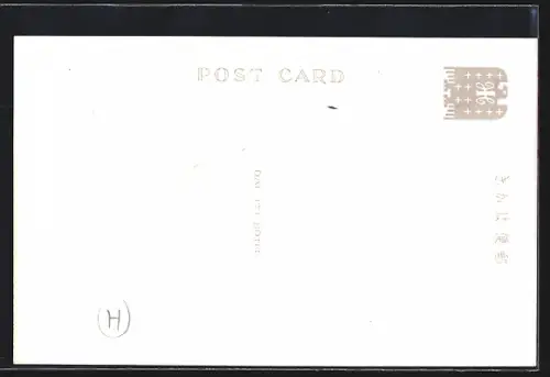 AK Tokyo, Dai-Iti-Hotel, Social Room and Single Room