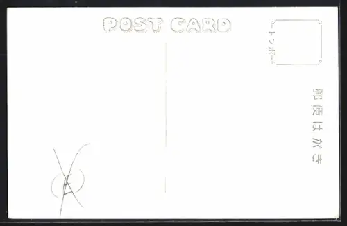 AK Tokyo, View at Night at Movie Street