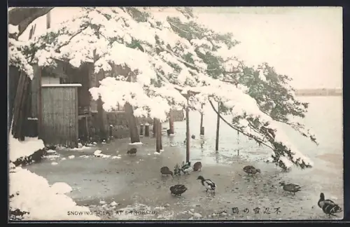 AK Shinobazu, Snowing Scene