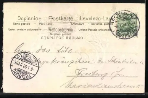 Stoff-Präge-AK Rosen mit Vergissmeinnicht und Schmetterlingen