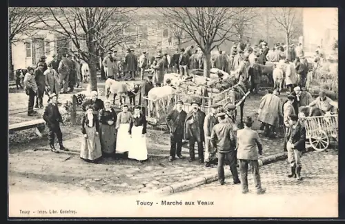 AK Toucy, Marché aux Veaux animé avec foule et bétail