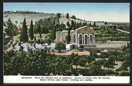 AK Jérusalem, Mont des Oliviers avec la Basilique