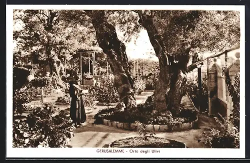 AK Gerusalemme, Orto degli Ulivi