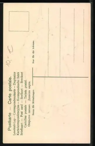 Stoff-Präge-AK Paar in Tracht im Wald