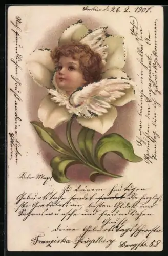 Lithographie Engel guckt aus einer Blume heraus