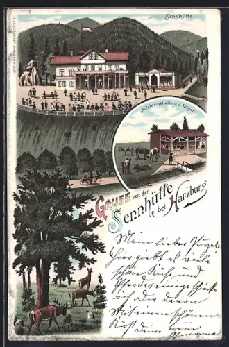 Lithographie Bad Harzburg, Gasthaus Sennhütte, Milchtrinkhalle u. d. Eichen