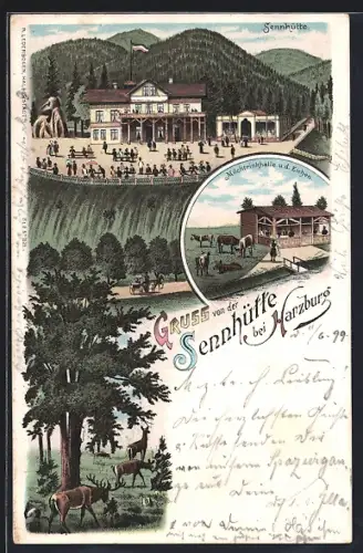 Lithographie Bad Harzburg, Gasthaus Sennhütte, Milchtrinkhalle u. d. Eichen