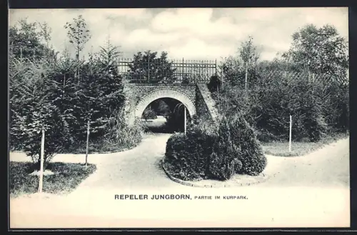 AK Repelen, Jungborn, Partie im Kurpark