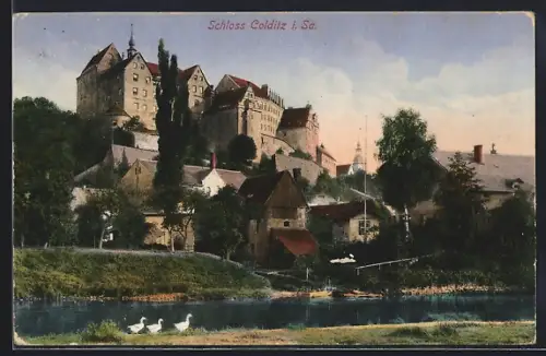 AK Colditz /Sa., Schloss Colditz