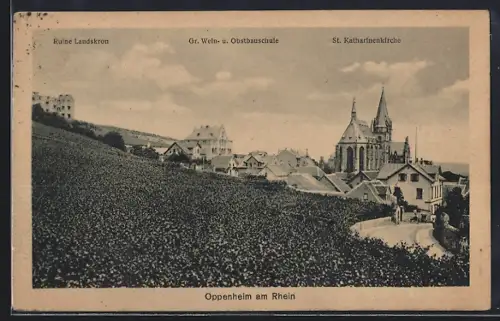 AK Oppenheim am Rhein, Ruine Landskron, Grosse Wein- und Obstbauschule und St. Katharinenkirche