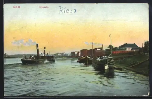 AK Riesa, Elbpartie mit Dampfer