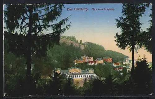 AK Bad Harzburg, Blick vom Burgberg