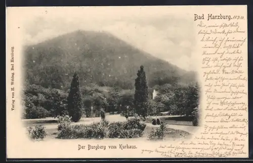 AK Bad Harzburg, Der Burgberg vom Kurhaus