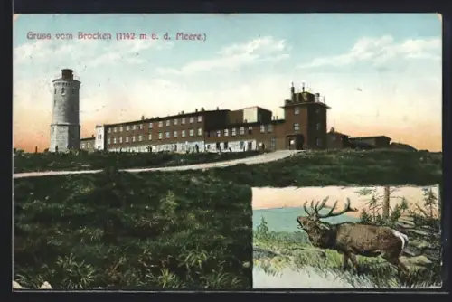AK Brocken, Brockenhotel und Aussichtsturm, Hirsch