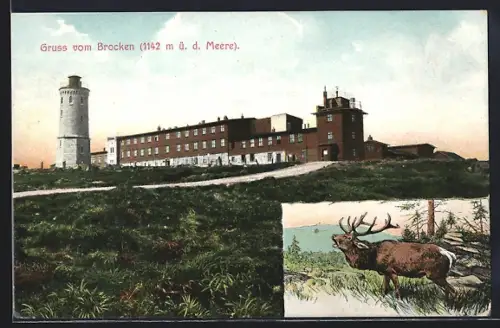 AK Brocken, Brockenhotel und Aussichtsturm, Hirsch