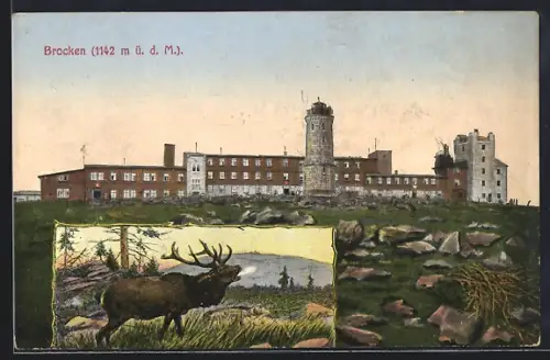 AK Brocken i. Harz, Hotel und Aussichtsturm mit Elch