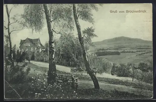 AK Brockenblick, Birken gegen Hügellandschaft