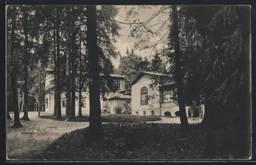 AK Bad Waldheim i. Harz /Elbingerode, Hotel Waldhaus W. Niewerth