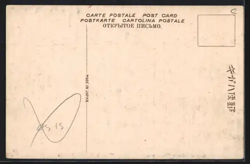 AK Gate of Miidera Wakanoura, Panorama