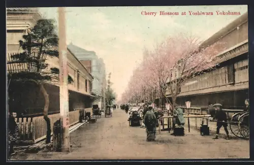 AK Yokohama, Cherry Blossom at Yoshiwara