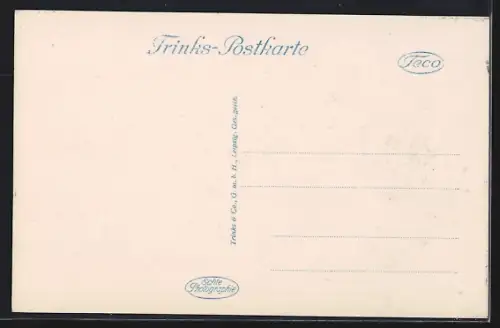 AK Detmold, Schloss mit Springbrunnen