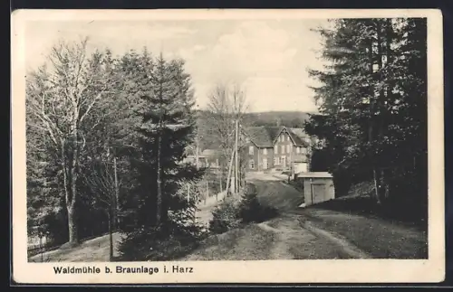 AK Braunlage i. Harz, Weg zum Gasthof Waldmühle