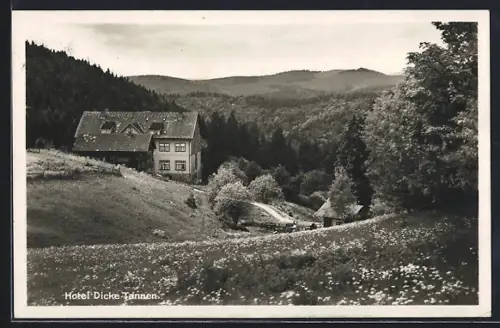 AK Hohegeiss /Hochharz, Hotel Dicke Tannen