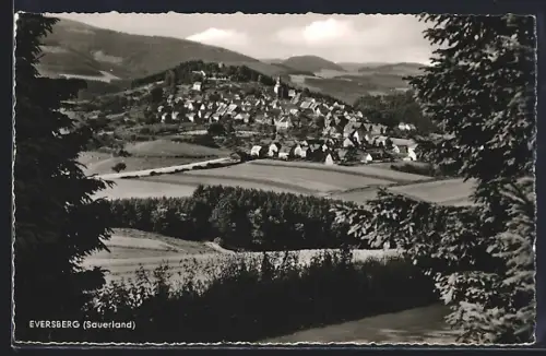 AK Eversberg /Sauerland, Teilansicht mit Bäumen