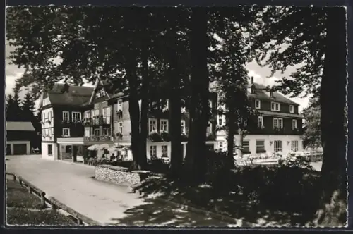 AK Fleckenberg /Schmallenberg, Blick auf das Hotel Jagdhaus Wiese