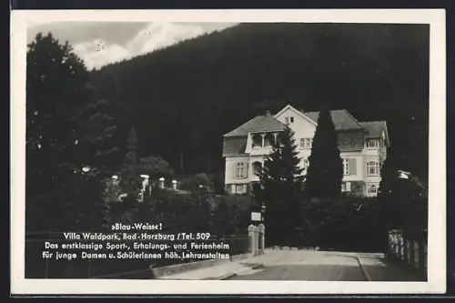AK Bad Harzburg, Blick auf Villa Waldpark
