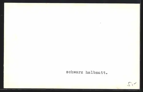 AK Goslar, Badeanstalt mit Umgebung
