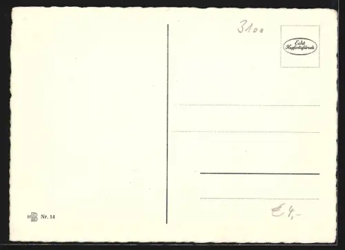 AK Celle, Poststr. mit Rathaus