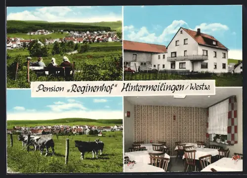 AK Hintermeilingen /Westw., Gasthaus und Pension Reginenhof