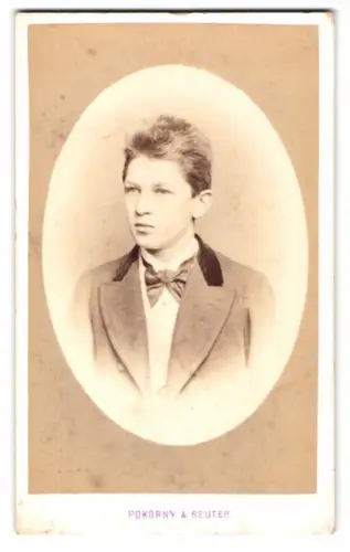 Fotografie Pokorny & Reuter, Wien, Wollzeile 34, Porträt eines jungen Mannes