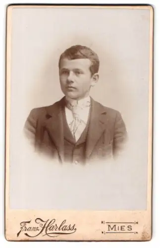 Fotografie Franz Harlass, Mies, Porträt eines jungen Mannes in Anzug
