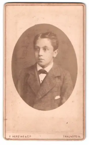 Fotografie F. Herzing & Co, Traunstein, Scheicherkellerstrasse, Porträt eines Jungen im Anzug