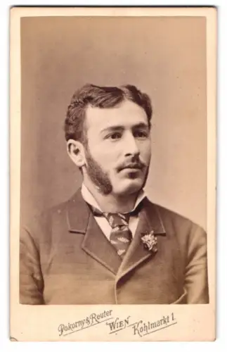 Fotografie Pokorny & Reuter, Wien, Kohlmarkt 1, Porträt eines jungen Mannes mit Krawatte