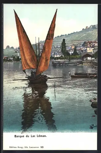 AK Lac Léman, Panorama et barque