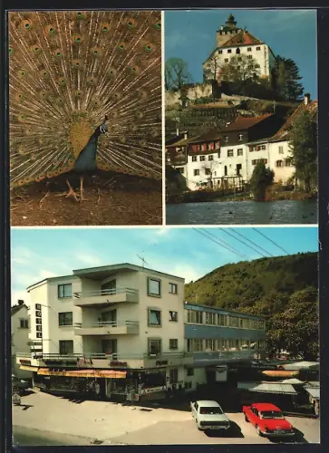 AK Buchs /SG, Hotel Taucher am See, Schloss, Pfau