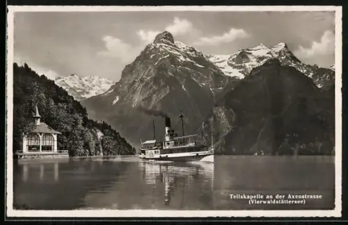 AK Dampfer Schiller auf dem Vierwaldstättersee