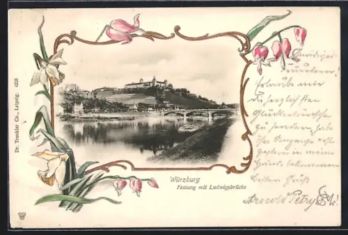 AK Würzburg, Festung mit Ludwigsbrücke