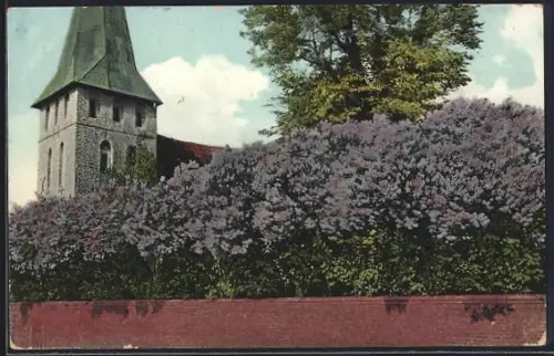 AK Oldenburg / O., Flieder an der Friedhofsmauer