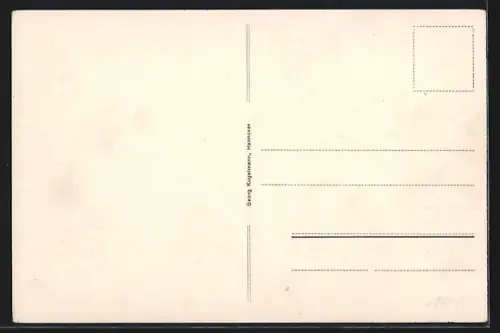 AK Oldenburg / O., Amalienbrücke