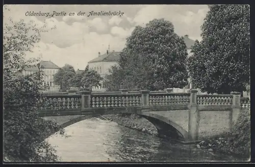 AK Oldenburg / O., Amalienbrücke mit Flusspartie