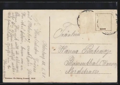 AK Oldenburg / O., Amalienbrücke mit Flusspartie