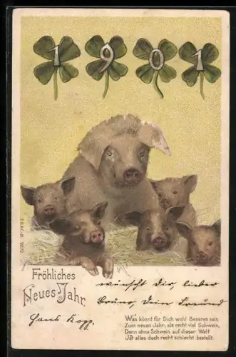 Glitzer-Perl-AK Schwein mit Ferkeln, Jahreszahl 1901