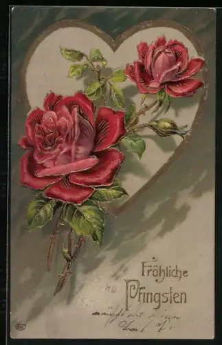 AK Rote Rosen zu Pfingsten