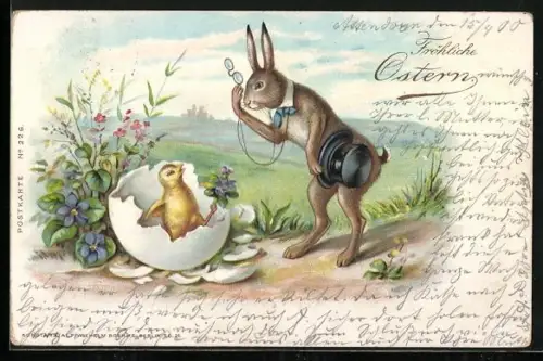 AK Osterhase mit frisch geschlüpftem Osterküken