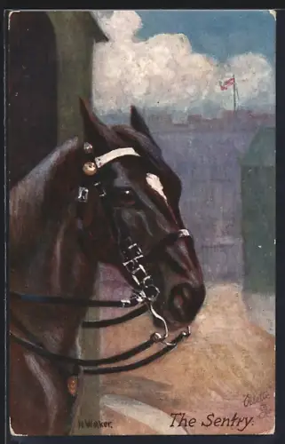 Künstler-AK Schwarzes Pferd mit Zaumzeug, The Sentry